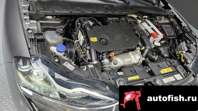 Citroen-DS DS3 DS3 Crossback 2020 года - вид 6