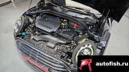 Миниатюра 6