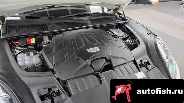 Porsche Cayenne Cayenne (PO536) 2019 года - вид 6