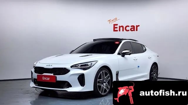 Kia Stinger Stinger Meister 2023 года - похожие автомобили