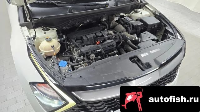 Kia Sportage Sportage 5th Generation 2022 года - вид 6