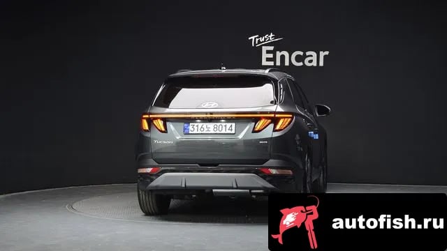 Hyundai Tucson Tucson (NX4) 2023 года - вид 4