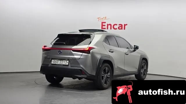 Lexus UX UX250h 2019 года - вид 2