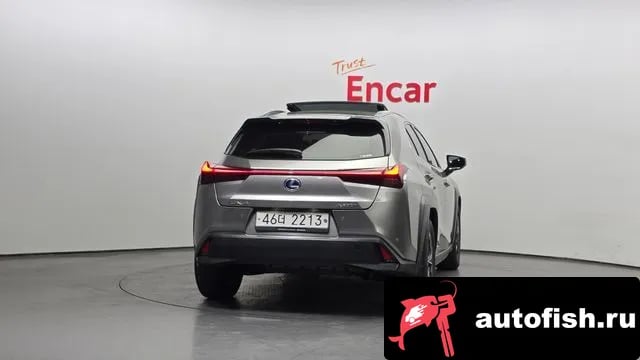 Lexus UX UX250h 2019 года - вид 4