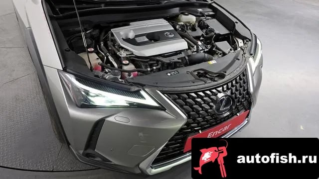 Lexus UX UX250h 2019 года - вид 6