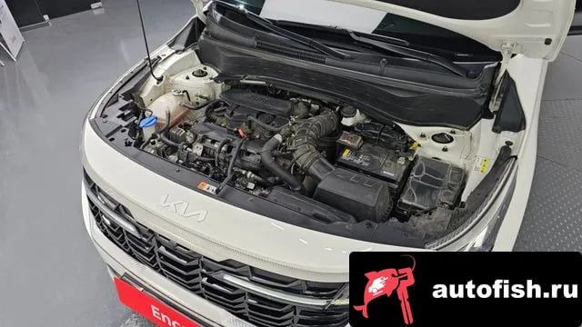 Kia Seltos The New Celtos 2023 года - вид 6