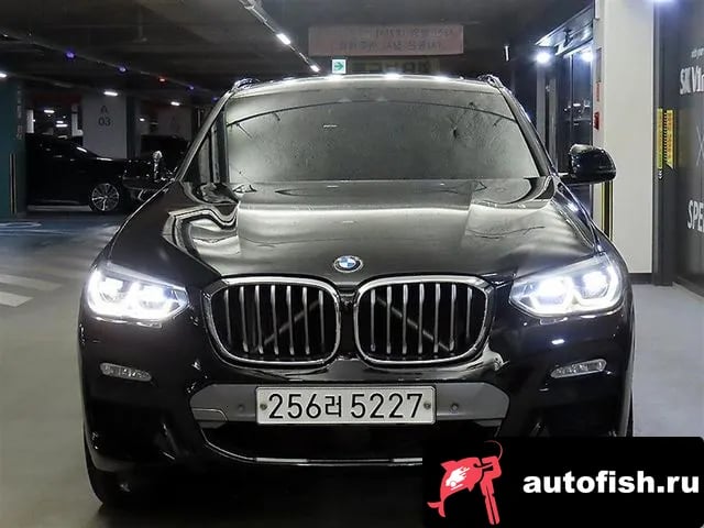 BMW X4 X4 (G02) 2019 года - вид 2