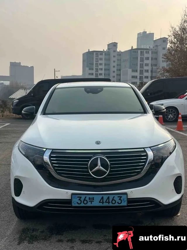 Mercedes-Benz EQC EQC N293 2020 года - вид 1