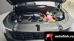 Миниатюра 6