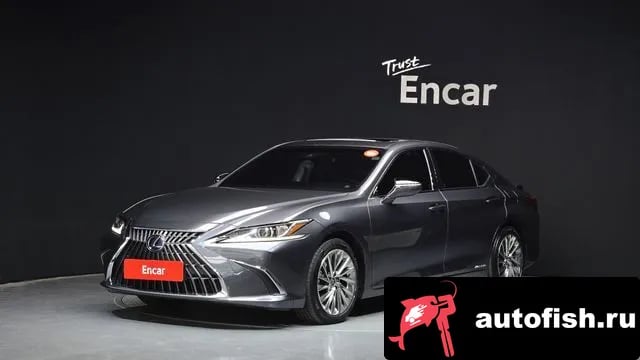 Lexus ES ES300h 7th generation 2021 года - вид 1