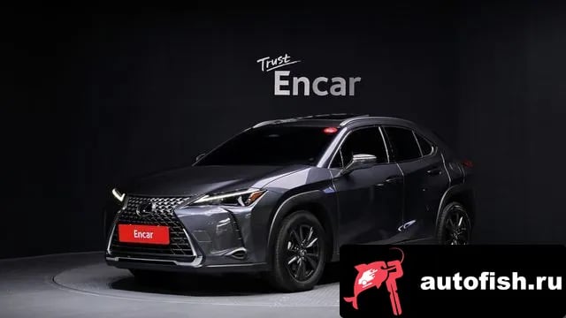 Lexus UX UX300h 2024 года - автомобиль из Южной Кореи