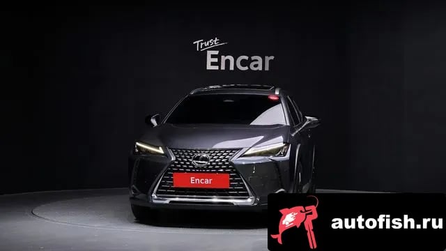 Lexus UX UX300h 2024 года - вид 3