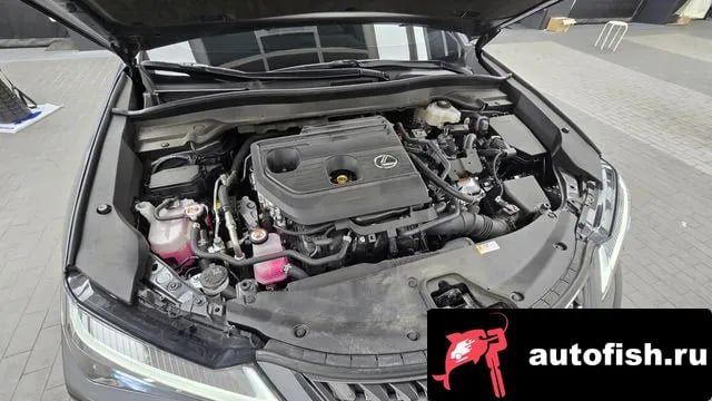 Lexus UX UX300h 2024 года - вид 6