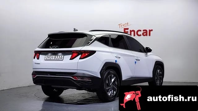 Hyundai Tucson Tucson (NX4) 2020 года - вид 2