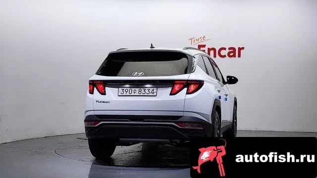 Hyundai Tucson Tucson (NX4) 2020 года - вид 4