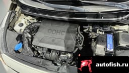 Миниатюра 6