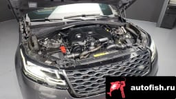 Миниатюра 6