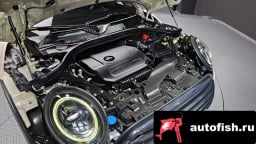 Миниатюра 6