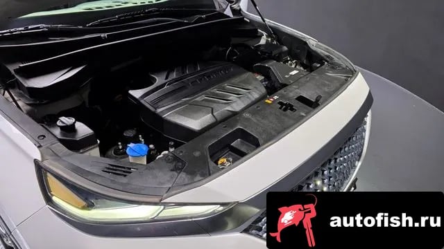 Hyundai Santafe San Tafe TM 2018 года - вид 6