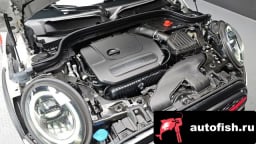 Миниатюра 6