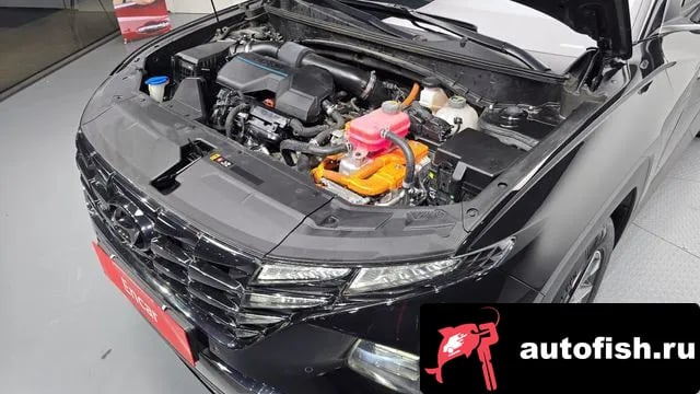 Hyundai Tucson Tucson Hybrid (NX4) 2021 года - вид 6