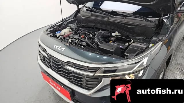 Kia Seltos The New Celtos 2024 года - вид 6