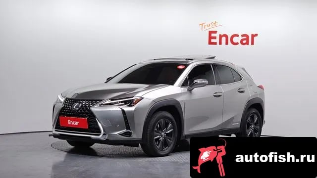 Lexus UX UX250h 2021 года - вид 1