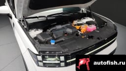 Миниатюра 6