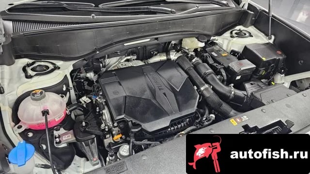 Hyundai Palisade Palisade (LX3) 2025 года - вид 6