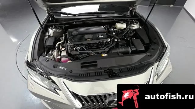 Lexus ES ES300h 7th generation 2024 года - вид 6