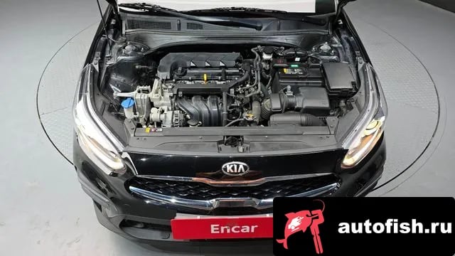 Kia K3 Come New K3 2020 года - вид 6
