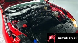 Миниатюра 6