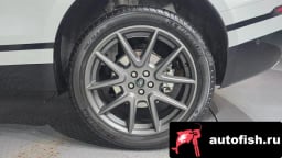 Миниатюра 5