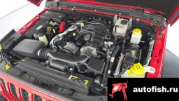 Миниатюра 6