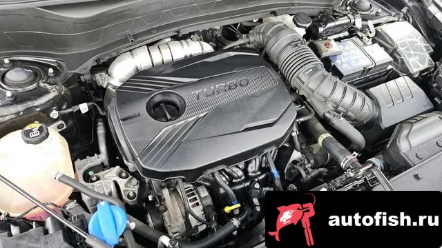 Kia Seltos Celtos 2022 года - вид 6