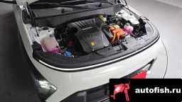 Миниатюра 6