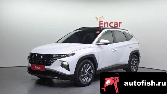 Hyundai Tucson Tucson Hybrid (NX4) 2022 года - вид 1