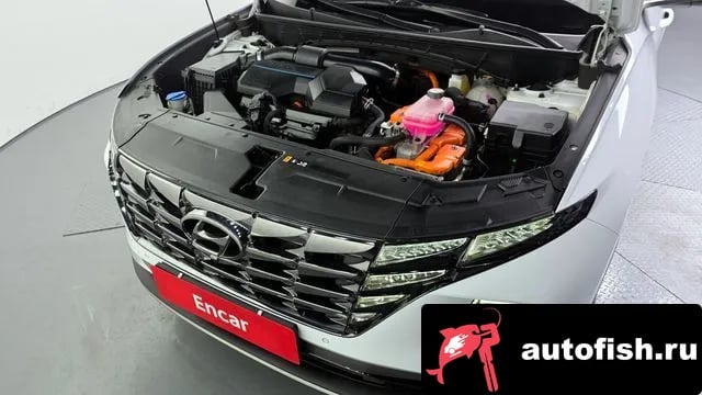 Hyundai Tucson Tucson Hybrid (NX4) 2022 года - вид 6