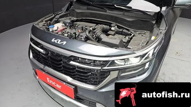 Kia Seltos The New Celtos 2024 года - вид 6