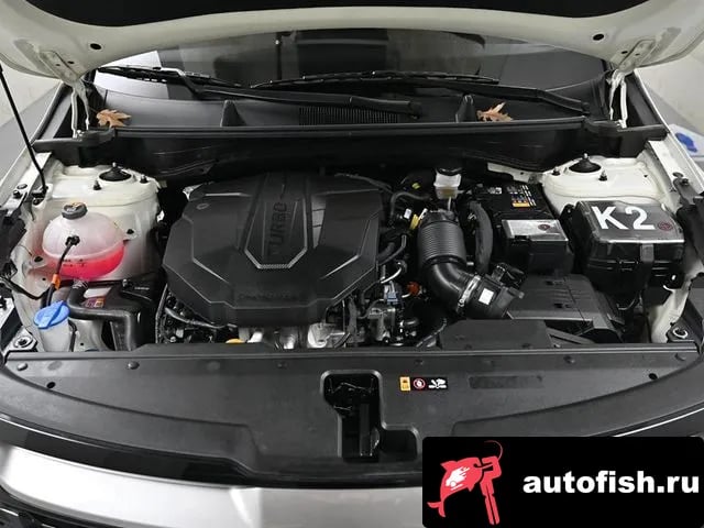 Kia Sportage Sportage 5th Generation 2024 года - вид 5