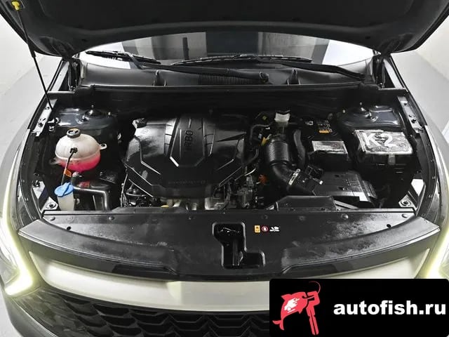 Kia Sportage Sportage 5th Generation 2024 года - вид 5