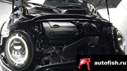 Миниатюра 6