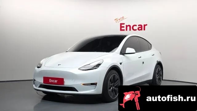 Tesla Model Y Model Y 2021 года - вид 1