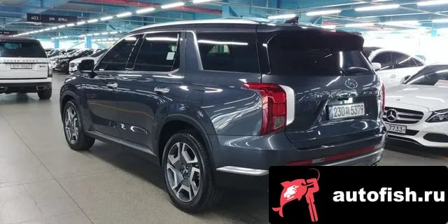 Hyundai Palisade The New Palisade 2024 года - вид 5