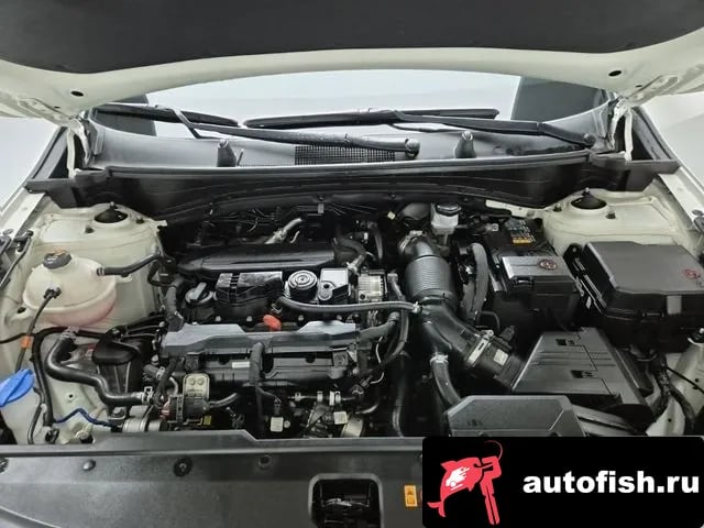 Kia Sportage Sportage 5th Generation 2024 года - вид 5