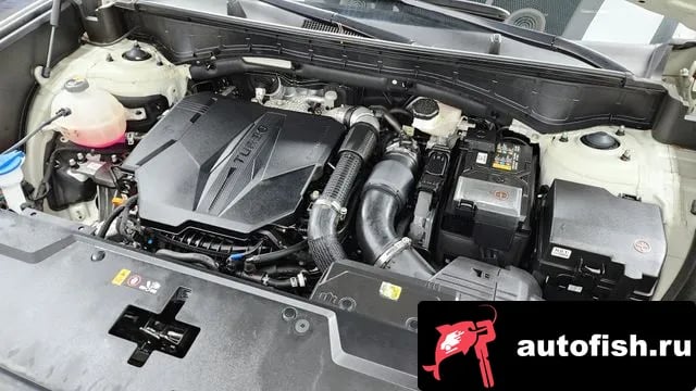 Hyundai Santafe San Tafe (MX5) 2024 года - вид 6