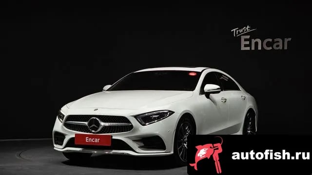 Mercedes-Benz CLS-Class CLS-Class C257 2019 года - вид 1