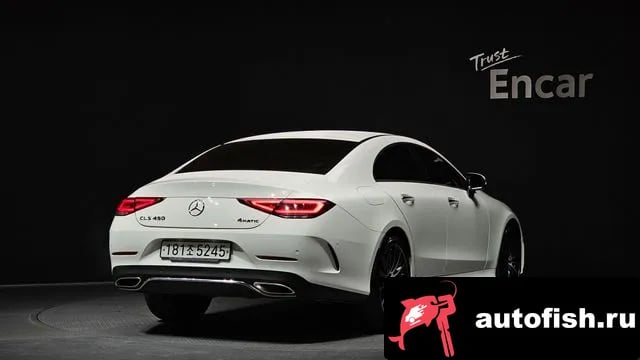 Mercedes-Benz CLS-Class CLS-Class C257 2019 года - вид 2