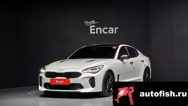 Kia Stinger Stinger Meister 2022 года - вид 1