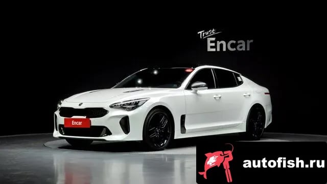 Kia Stinger Stinger Meister 2020 года - вид 1